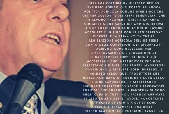 Il Segretario Generale FNA membro CNEL Il Segretario Generale FNA membro CNEL