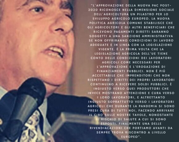 Il Segretario Generale FNA membro CNEL Il Segretario Generale FNA membro CNEL