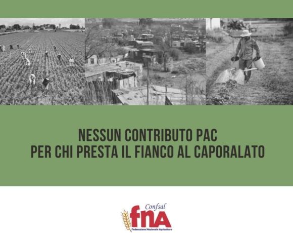 Caporalato a Ostiglia Caporalato a Ostiglia