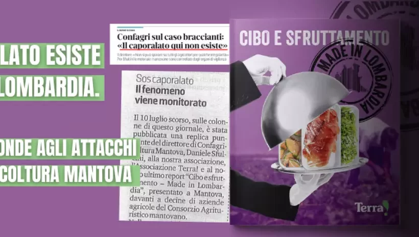 Confagricoltura nega caporalato nel mantovano Confagricoltura nega caporalato nel mantovano