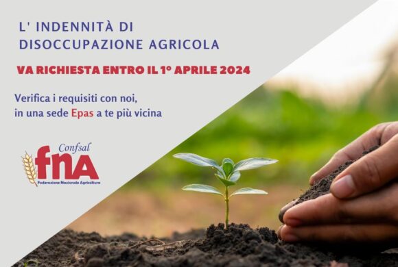 Disoccupazione Agricola 2024 Disoccupazione Agricola 2024