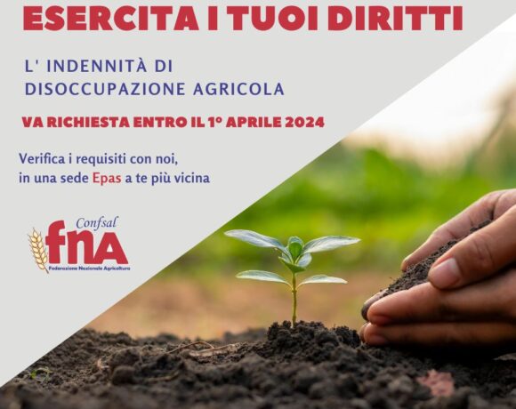 Disoccupazione Agricola 2024 Disoccupazione Agricola 2024