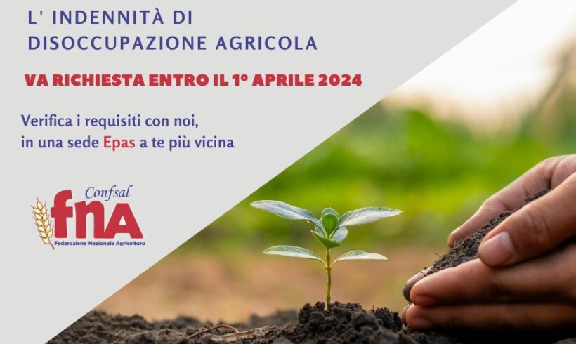 Disoccupazione Agricola 2024 Disoccupazione Agricola 2024